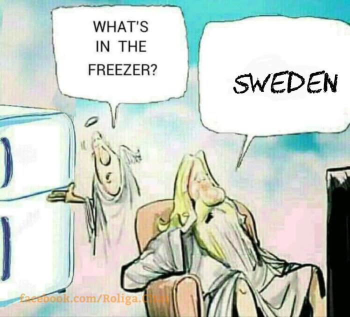 Tecknad bild, spöke vid öppen frys frågar person, "SWEDEN" skrivet som svar. Humoristisk, sofistikerad.