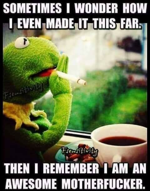 Kermit the Frog ser reflekterande ut med en kopp och en cigarett, med en självsäker text.