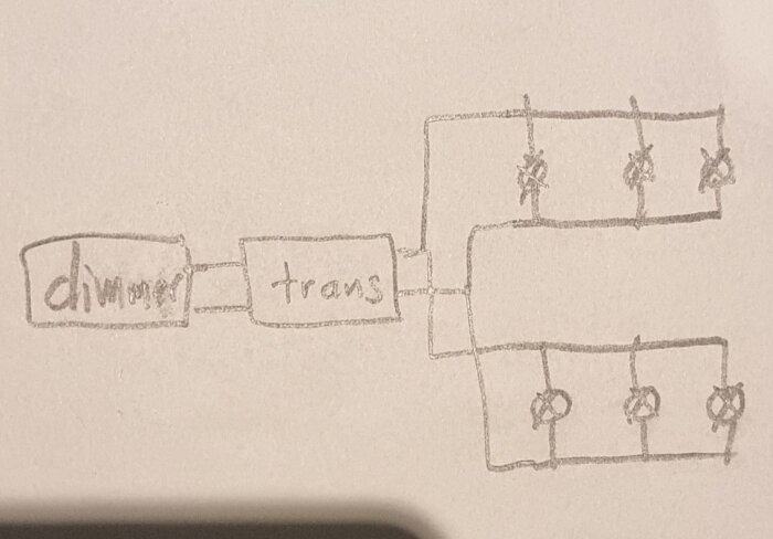 Handritat flödesschema med kategorier "divoner" och "trans", innefattande symboler som representerar individer eller processer.