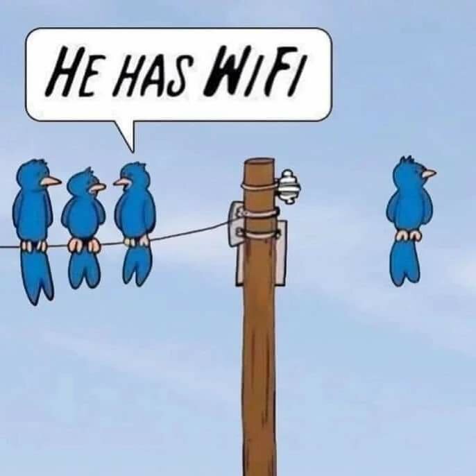 Fyra blå fåglar på ledning; en ensam vid Wi-Fi-ikonen på stolpen. Humoristiskt pratbubbla: "He has Wi-Fi".