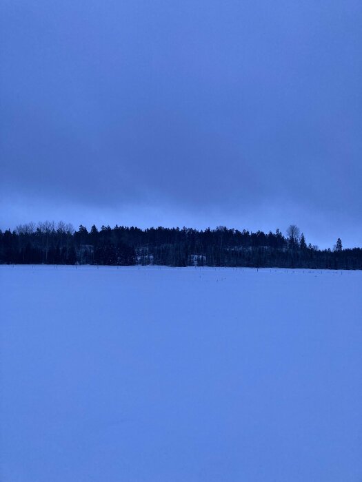 Vintrigt landskap med snötäckt fält, skogslinje, mörknande himmel, lugn, blåtonade färger, kallt utseende.