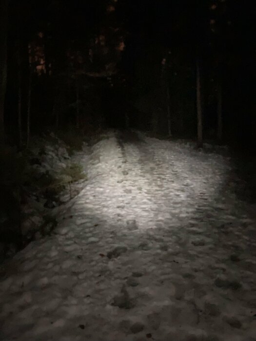 Mörk skogsväg upplyst av ficklampa, snö på marken, natt, mystisk atmosfär.