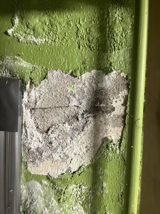 Grönt förfallet väggsegment med skadad puts och möjligt mögel eller smuts.