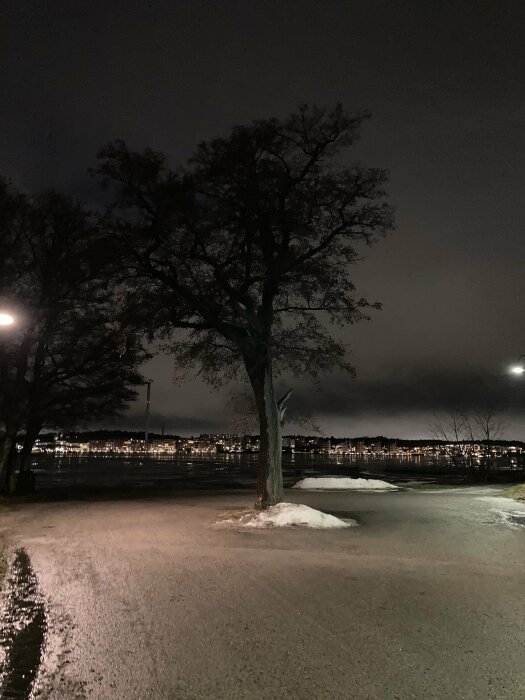 Natt, ensamt träd, gatlyktor, isfläckar, asfalterad väg, stadssilhuett i bakgrunden, mörk himmel.