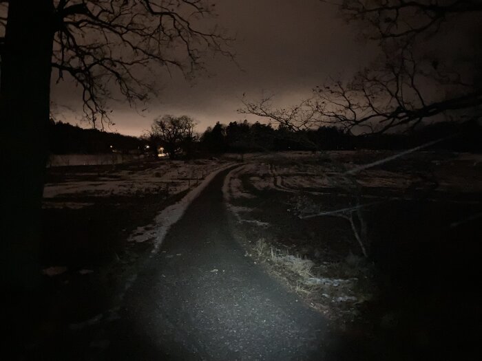 Nattbild, upplyst stig, trädgrenar, molnigt himmelsglöd, snötäckta fält, dunkel atmosfär, lugnt landskap.