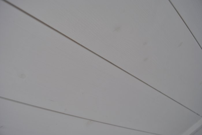 DSC_0017.jpg