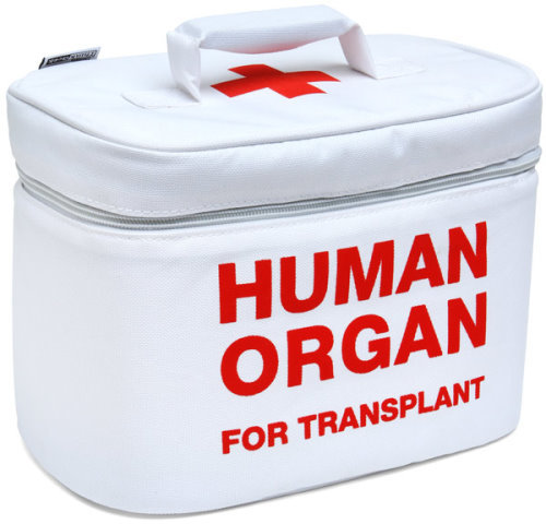 Human-Organ-for-Transplant-Lunch-Box-2.jpg