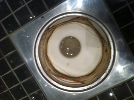bild3.JPG