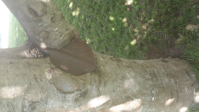 DSC_0001.jpg