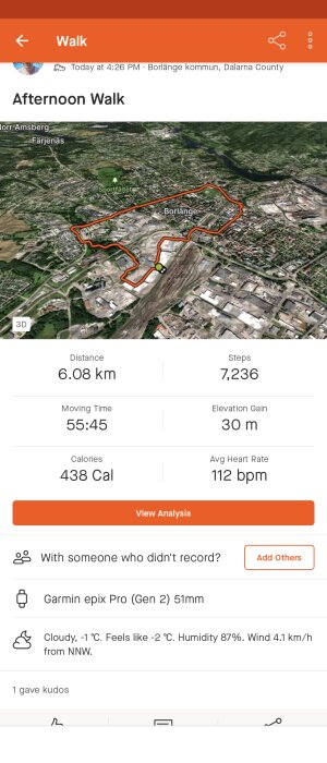 Fitnessappskärmdump; eftermiddagspromenad; distans 6.08 km; steg 7,236; rörelsetid 55:45; Borlänge, molnigt.