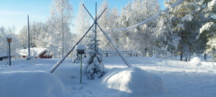 Snötäckt landskap, träkonstruktion, blå himmel, solig dag, vinter, täta träd, skandinavisk natur, fred och stillhet.