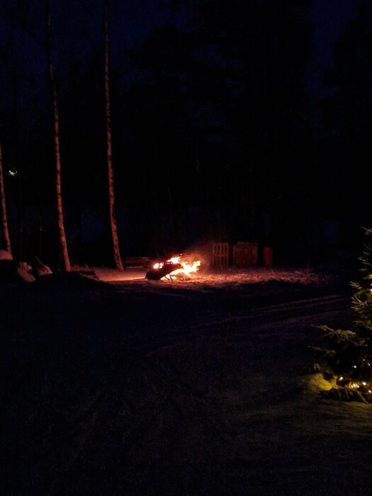 Eld utomhus i skogsmiljö nattetid, snö på marken, träd, mörker runtomkring, ensligt och stilla.