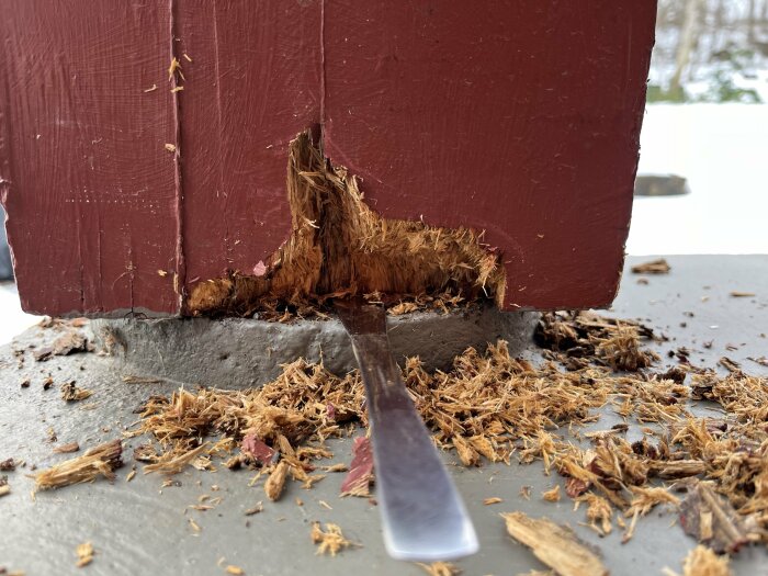 En kniv sticker ut ur en söndertuggad trästolpe med träspån runt omkring. Skador på stolpen, troligtvis vandalisering.