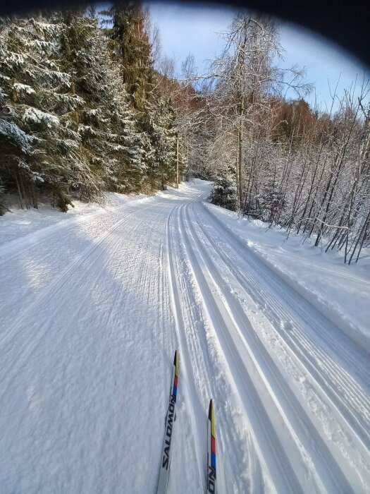 Skidspår leder genom snöklädd skog under solig himmel; skidåkning, vinterlandskap, friluftsliv.