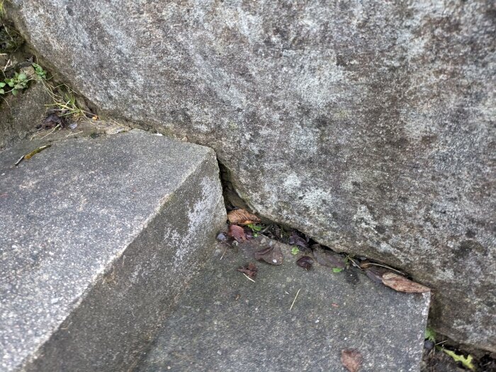 Stentrappa, mur, löv på marken, grova ytor, skuggor, övergång mellan konstruerat och natur.