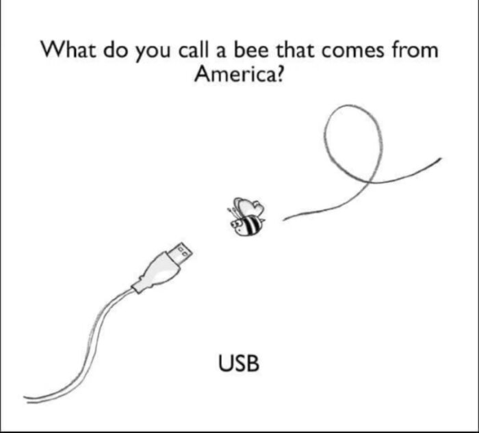 Humoristisk bild, ordlek med en bi och USB-kabel, vits fråga om amerikanskt bi.