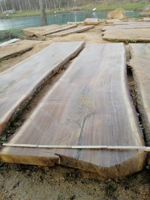 Stora träslabbar på marken, möjligtvis för möbeltillverkning, nära natursjö och skog i bakgrunden.