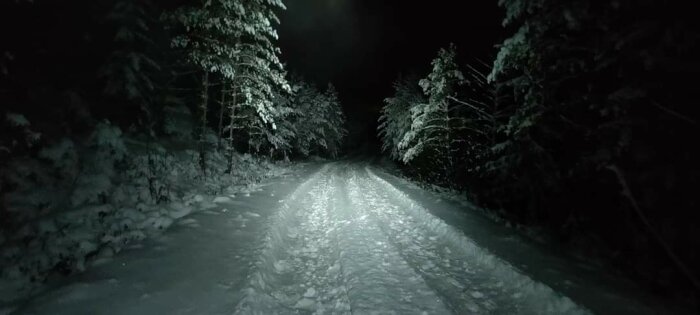 Snöig skogsväg om natten, upplyst av fordon, mörka träd och vinterlandskap.