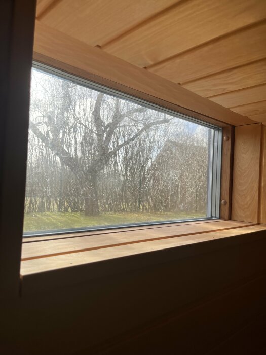 Fönster med träram, utsikt över träd och gräs, solljus, inomhus, ingen person synlig.