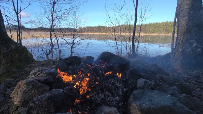 En eldstad vid en insjö med stenar, flammor, nakna träd och klar himmel. Fridfull naturmiljö.