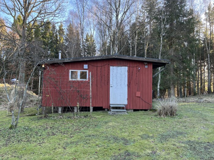 Rödmålat mindre trähus i natur, vit dörr, fönster, skorsten, trappa, tidig vår eller höst.