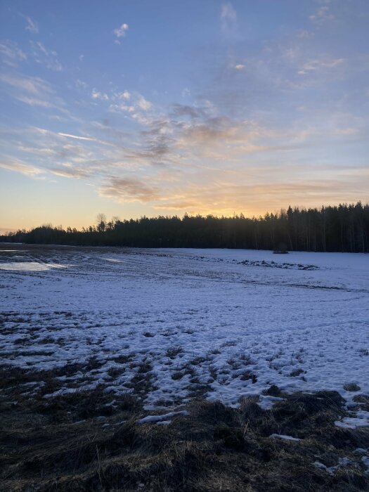 Lantlig vinterscen med snö, skogsbryn och gryende soluppgång under molnstrimmig himmel.