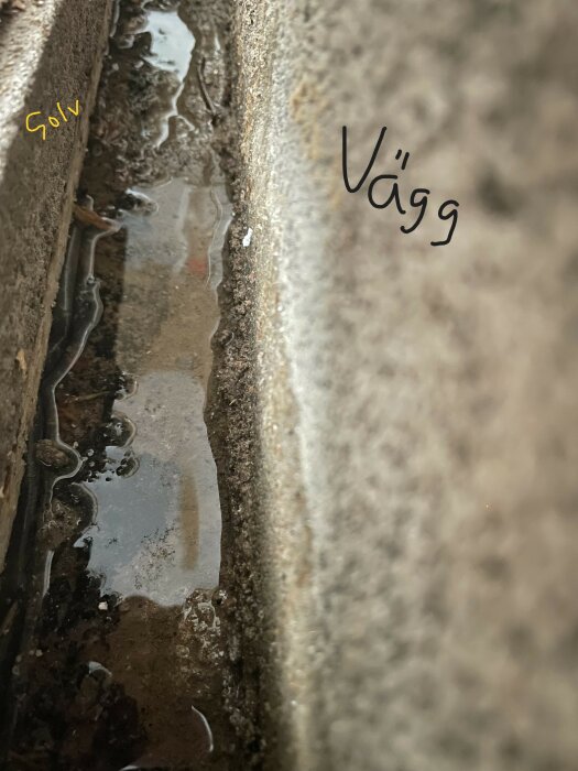 Vattensamling mellan gatsten och väggkant. Reflektioner. Text på bilden visar "Sol" och "Vägg".