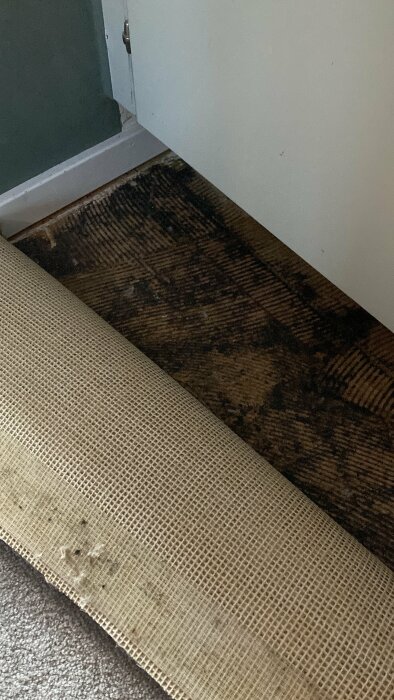 Golv med tydliga vattenskador under en dörr, delvis täckt av en brun matta.
