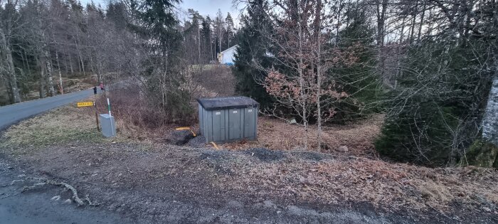 Landsväg, elskåp, bar lövskog, skymning, vandrande person i fjärran, höst- eller vinterväder, grusvägskant, ingen snö.