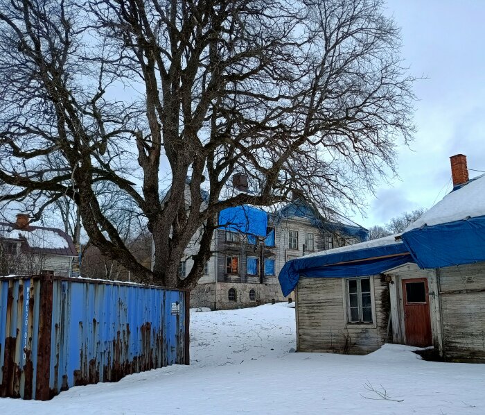 Vintrigt landskap, snö, stort naket träd, gamla byggnader, rostig container, nedgångna strukturer, blå presenningar över taken.