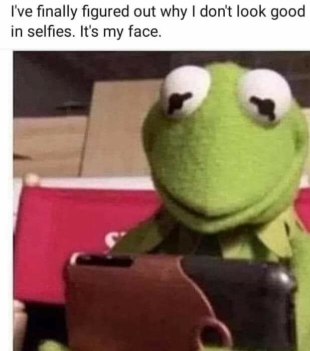 Kermit grodan med mobil, ironisk text om att inte se bra ut på selfies. Humoristisk, relaterbar.
