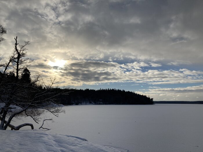 Vinterlandskap med snötäckt mark, träd, moln och solen som skiner genom molnen.