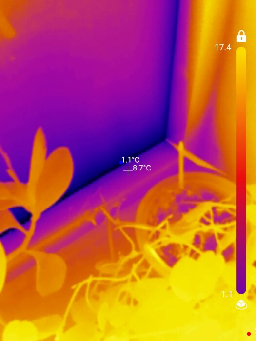 Termisk bild med temperaturmarkeringar, varierande färgområden visar olika temperaturer, innefattar växt och föremål.