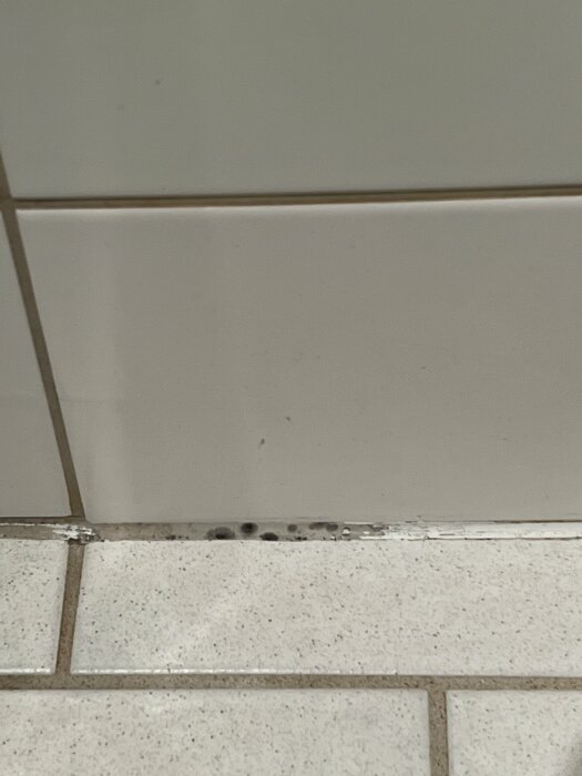 Vägg möter golv med kakel och list, mögel eller smuts i sprickan syns.