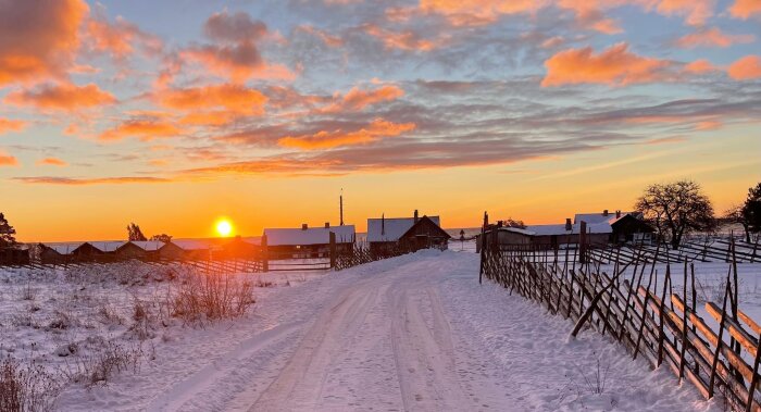 Vinterväg vid solnedgång, snötäckt landskap, traditionellt staket, gårdar, orange himmel, lugn, landsbygd.