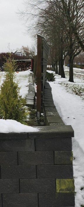 Reflekterande trafikspeglar på stolpe vid snötäckt gångstig med buskar, träd och vedstapel i bakgrunden.