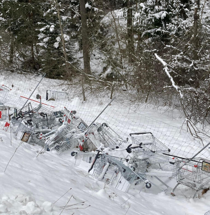 Övergivna kundvagnar i snö, staplade slarvigt vid skogskant, vinterlandskap, natur, konsumtionssymbol.