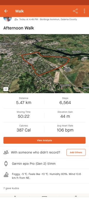 Skärmdump av aktivitetsapp som visar promenadsträcka, steg, tid, höjdförändring och kaloriförbrukning.