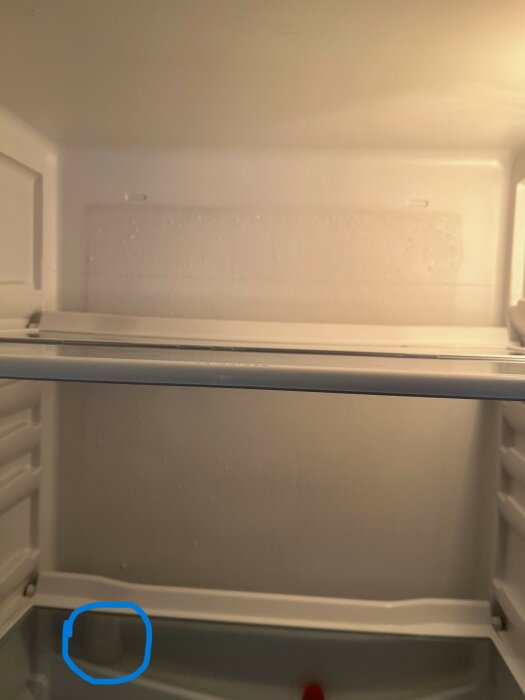 Tomt kylskåp interiör med hyllor, dörrfack och kondensdroppar. En blå föremål synlig längst ned.