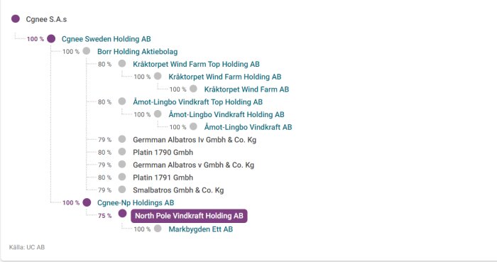 Organisationsschema för företag, ägarförhållanden, procentandelar av ägande, bolagsstruktur, investeringar i vindkraft.