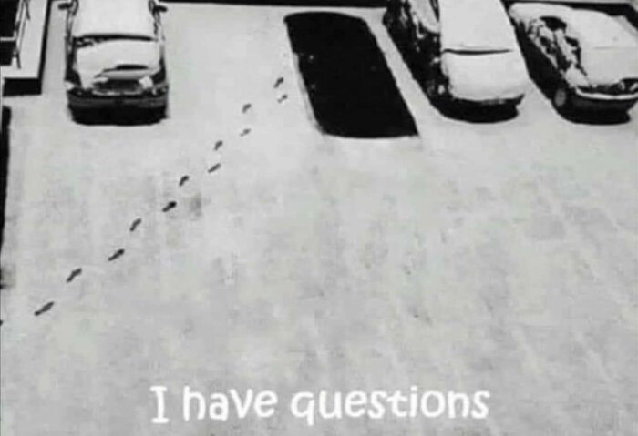 Snötäckt parkeringsplats, fotavtryck mellan bilar, text "I have questions". Humoristisk, mysterium, förvirrande fotspårsmönster.