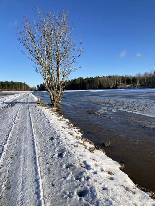 Vinterlandskap med snötäckt väg, isbelagd sjö, bar träd, klar blå himmel.