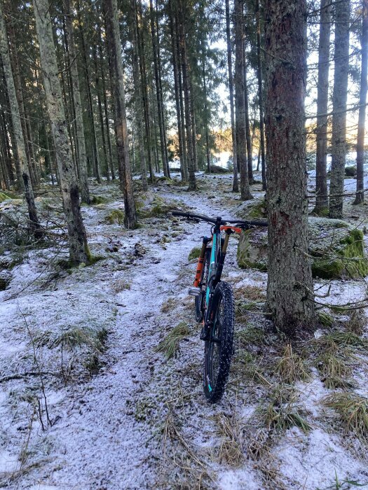 Mountainbike lutad mot träd i snöklädd skog. Solens strålar syns i bakgrunden. Lugn och fridfull natur.