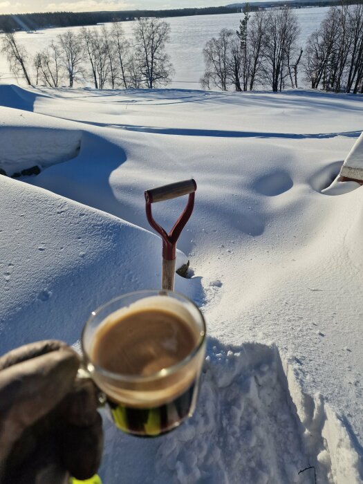 Vinterlandskap med snö, person håller kaffe, soligt, skog och fruset vatten i bakgrunden.