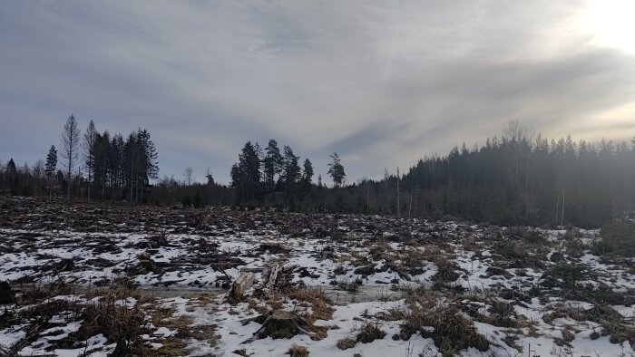 Avverkat skogsområde med strimmor av snö under en molnig himmel med solstrålar som bryter igenom molnen.