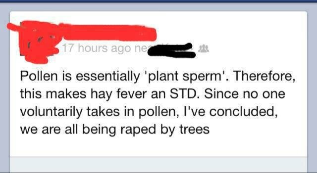 Skärmdump av sociala medier; en person jämför hösnuva med STD på grund av pollen som "växtspermier".