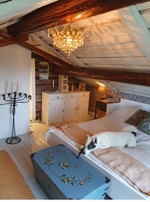 Mysigt sovrum, träbjälkar, kristallkrona, kista, vit katt, lantlig stil.