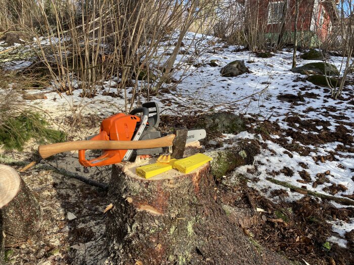 Motorsåg och yxa ligger på stubbe i skogsmiljö med snöfläckar och redskapsfodral nära. Arbete eller vedpreparation.