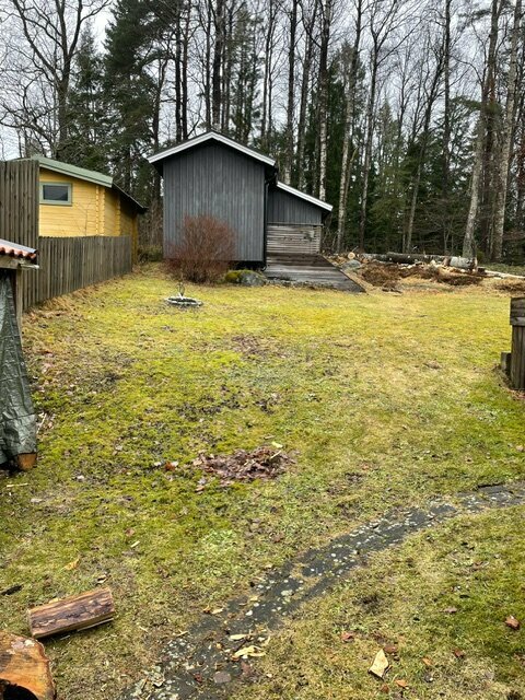 Trädgård med gräs, trähus, skogsbakgrund, molnig himmel, gul och grå skjul, stubbar, ingen snö.