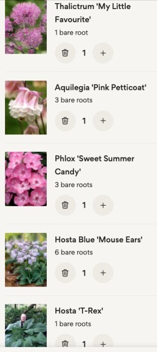 Skärmdump av trädgårdsväxtkatalog med bilder och namn på olika blomstersorter, antal nakna rötter listade.